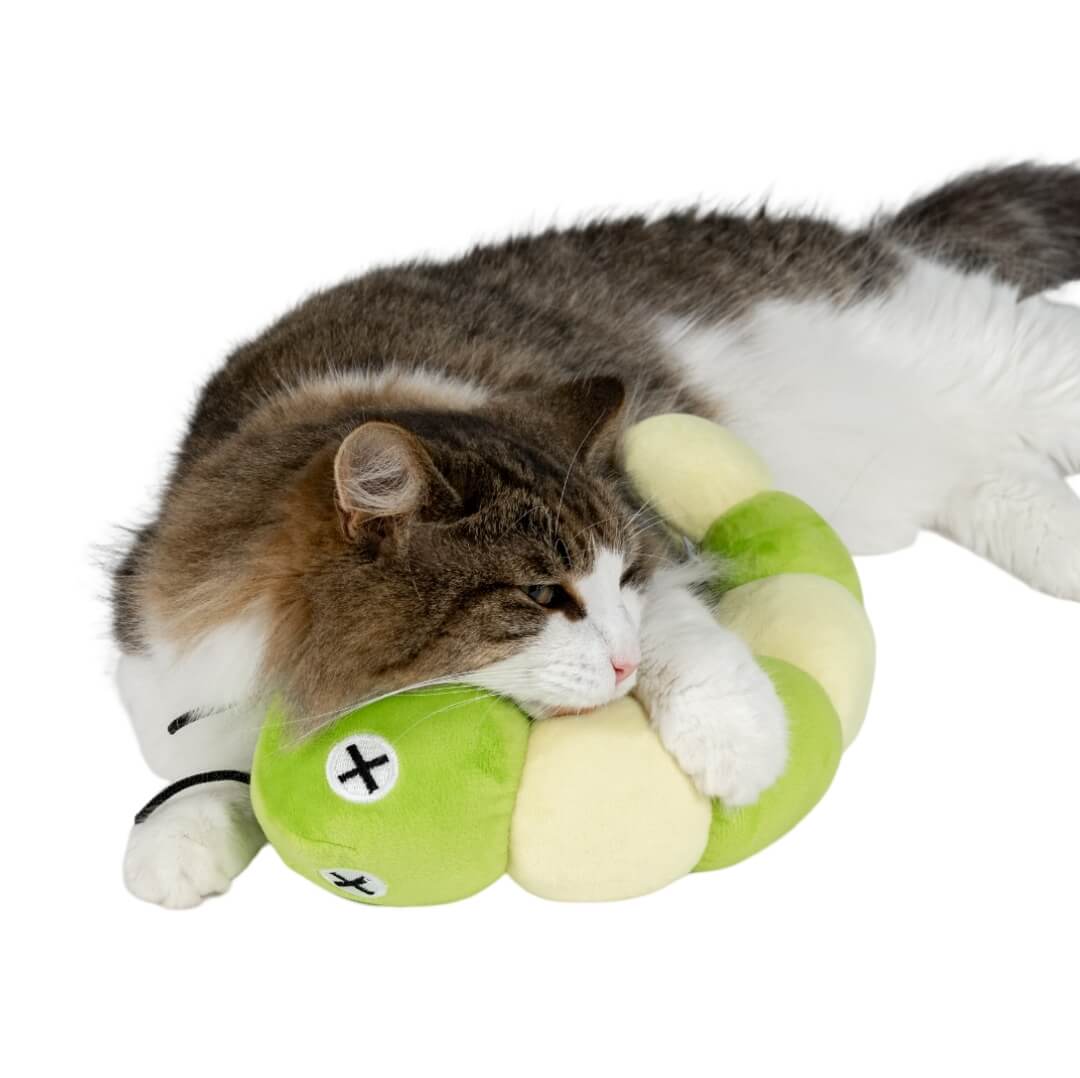 Cat Toy image